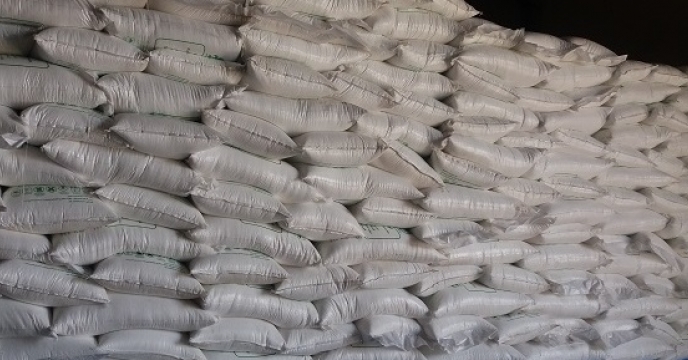 تامین کود برای 6532 هکتار مزارع ارقام محلی برنج در میاندورود