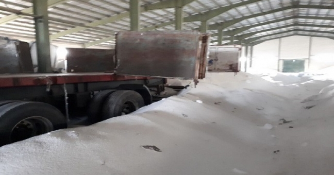 تامین کود برای 156 هکتار کشت  توت فرنگی در جویبار