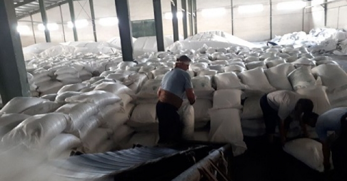 تامین کود برای صادرات 500 کیوی از نوشهر به خارج از کشور