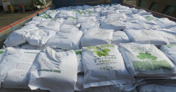 توزیع 20 تن بذر شبدر برسیم در آمل استان مازندران