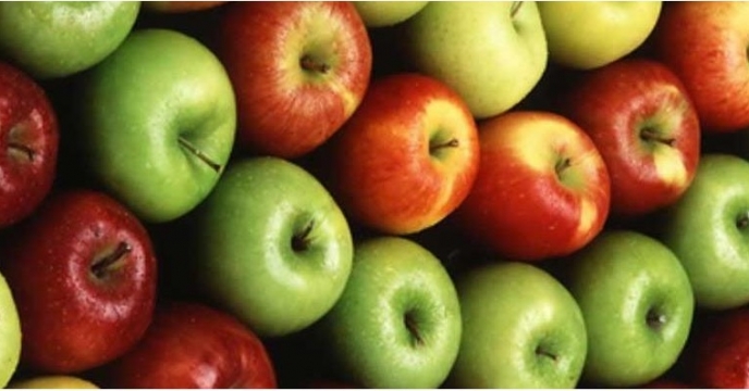 تولید 4 هزار و 650 تن سیب در نور استان مازندران