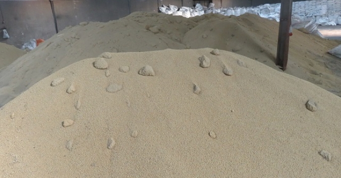 تامین کود کشت گندم در 12 هزار هکتار از اراضی نکا 