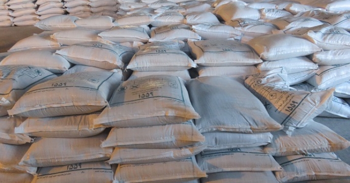 تامین کودکشت مجدد برنج در سطح 14 هزار در شهرستان بابل