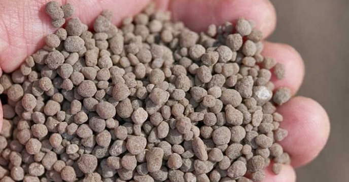 مقدار 5/5  تن کود سوپر فسفات تریپل بهمن ماه سالجاری  در اختیار کشاورزان شهرستان اراک قرار گرفت . 