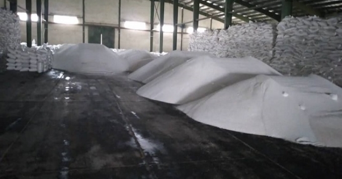 تامین کود برای تولید 52500 تن ارقام پرمحصول برنج در ساری