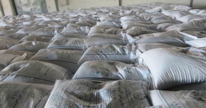 توزیع 14 تن کود فسفات آمونیوم بطور مستقم در محمودآباد