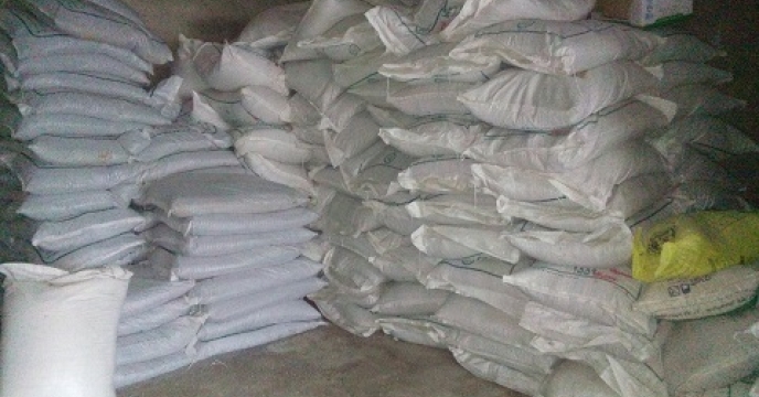 تامین و توزیع 782 تن کود پتاس برای کشت مجدد برنج در بابلسر مازندران