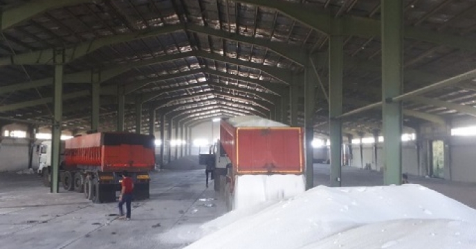 تامین و توزیع 370 تن کود کشاورزی برای دانه های روغنی در مرکز مازندران
