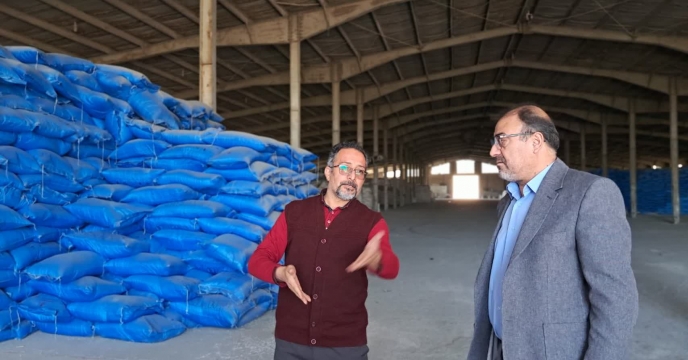 توزیع بیش از ۶۵۰ تن کود یارانه‌ای کشاورزی در شهرستان راور