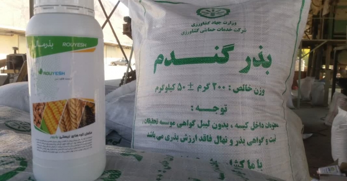 توزیع بیش از 200 تن بذور گندم اصلاح شده در استان چهارمحال وبختیاری