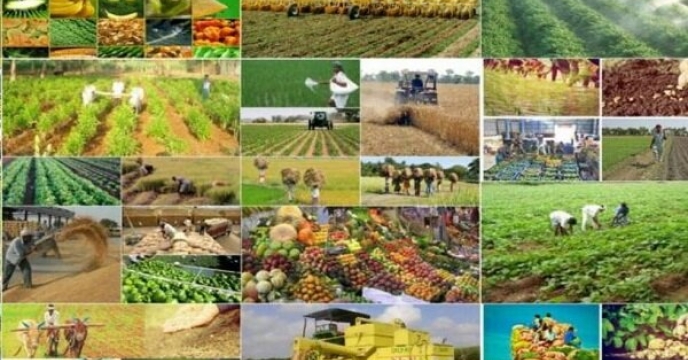 ظرفیت های موجود بخش کشاورزی استان گلستان در توسعه فرا سرزمینی
