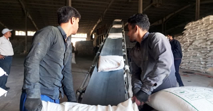  پایداری تولیدات زراعی با تامین ۳۲۸ تن کود یارانه‌ای برای کشاورزان شهرستان ارزوئیه