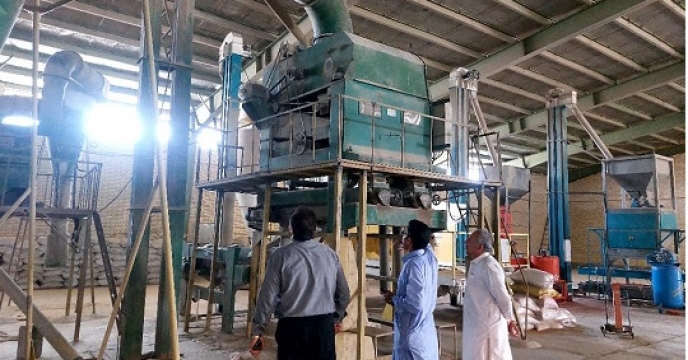 بازدید از دستگاه های بوجاری شرکت خدمات حمایتی کشاورزی استان سیستان و بلوچستان