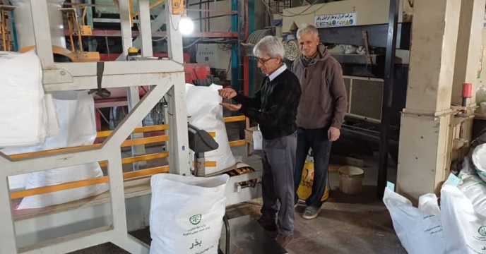 شروع عملیات بوجاری بذر شلتوک برنج  در شرکت خدمات حمایتی کشاورزی استان مازندران