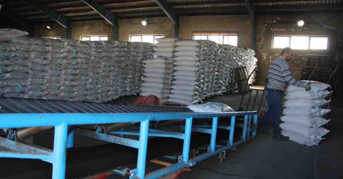 توزیع 220 تن بذر اصلاح و گواهی شده برنج از طریق شبکه کارگزاری های توزیع نهاده های کشاورزی استان گیلان 