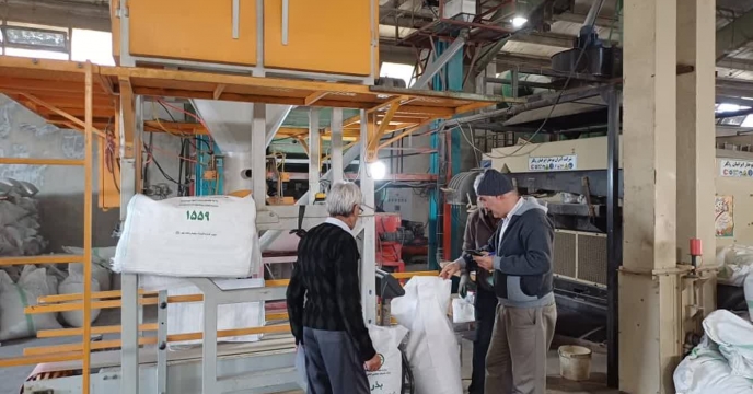 آغاز عملیات بوجاری بذر شلتوک برنج رقم ندا گواهی شده در شرکت خدمات حمایتی کشاورزی استان مازندران