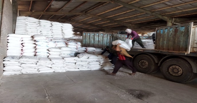 تخلیه کود سولفات پتاسیم گرانوله در انبار سازمانی شرکت خدمات حمایتی کشاورزی خوزستان