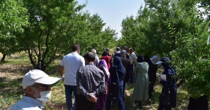 تأمین و تدارک کود مورد نیاز باغات میوه در شهرستان طالقان