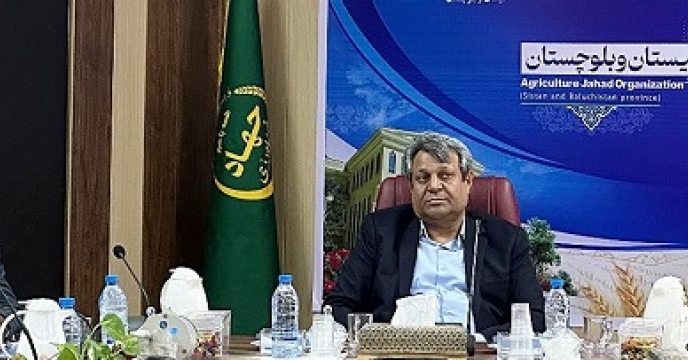 برگزاری جلسه با محوریت تامین نهاده ها والگوی کشت در سالن جلسات سازمان جهاد کشاورزی استان سیستان وبلوچستان 