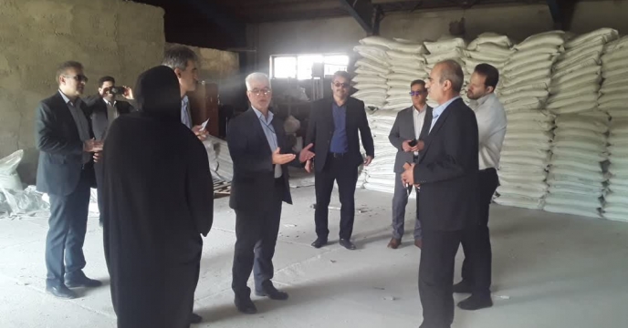 اعلام وصول میزان 200 تن کود سولفات پتاسیم گرانوله  در انبارهای سازمانی وذخیره  شرکت خدمات حمایتی کشاورزی لرستان 