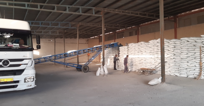 نمونه‌برداری از پارت ۴ سولفات پتاسیم گرانول در انبار مرکزی شرکت خدمات حمایتی کشاورزی استان قم
