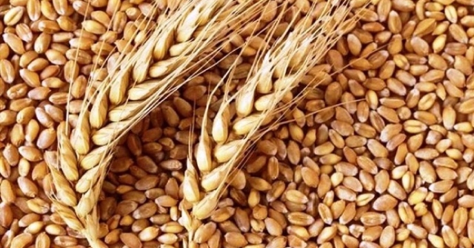 سهم مزارع گندم شهرستان نهبندان از کودهای شیمیایی