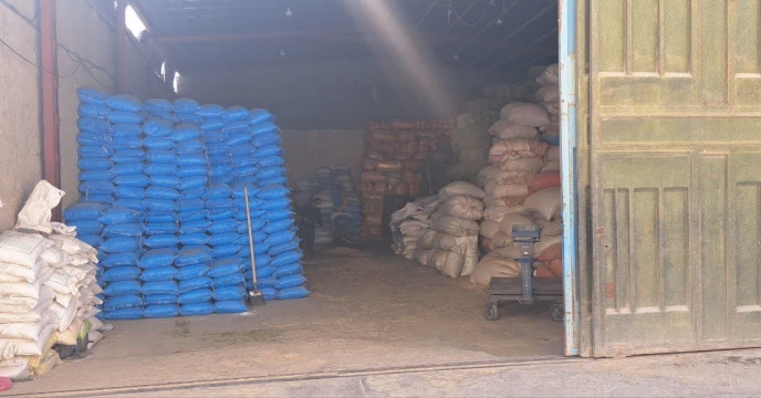 توزیع 693 تن کود کشاورزی بین انبار کارگزاران شهرستان کاشان در شش ماه ابتدایی سال 1404 در استان اصفهان  انجام شد.