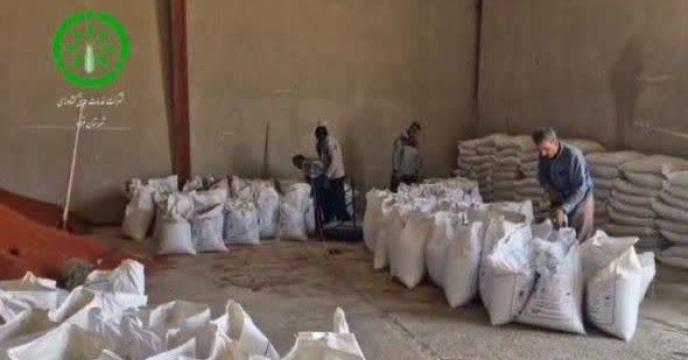 شروع عملیات کیسه گیری نهاده کود شیمیایی کلرور پتاسیم در شرکت خدمات حمایتی کشاورزی استان کردستان