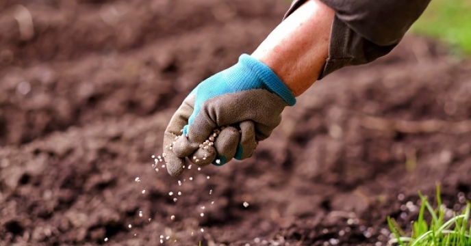 کودهای کشاورزی کلید افزایش بهروری محصولات کشاورزی در شهرستان زهک می باشند