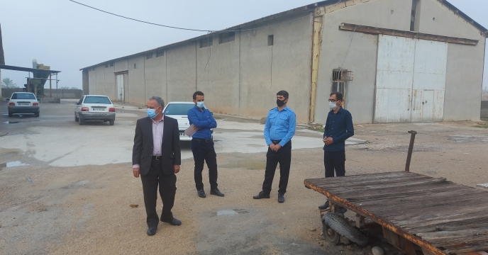 بازدید مدیر شرکت خدمات حمایتی کشاورزی استان بوشهر به منظور بررسی مشکلات و رفع آن ها در انبار سازمانی کود برازجان