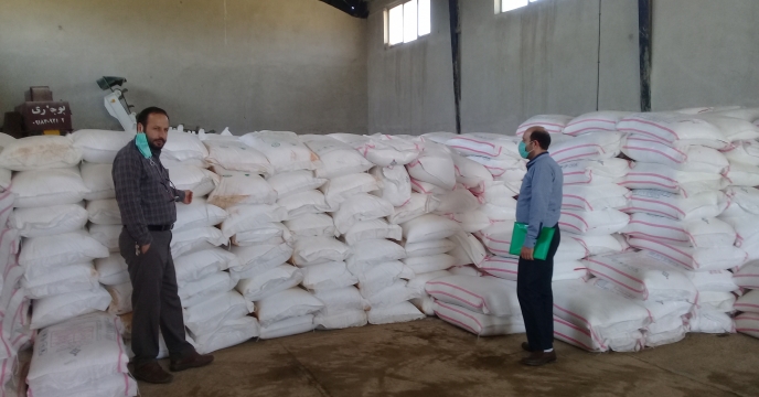  اجرای ۱۴ مورد عملیات پایش در شهرستان فامنین با هدف ارتقای خدمات‌رسانی به کشاورزان