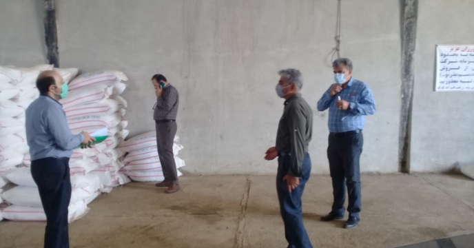 انجام بازدیدهای نظارتی مستمر در شهرستان رزن با هدف صیانت از حقوق کشاورزان