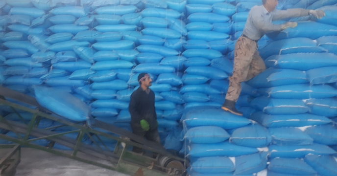 تامین و توزیع بیش از 900 تن انواع کود شیمیایی در شهرستان اشنویه  (دو ماه ابتدایی 1402)