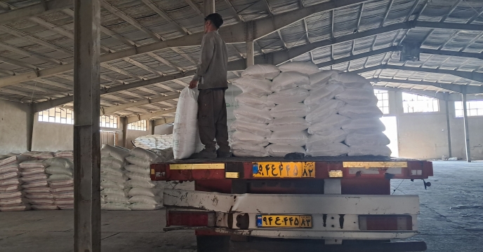 توزیع بیش از ۱۲۵۰ تن کود ازت یارانه‌ای میان کارگزاران استان کرمان در نیمه نخست آبان 1404