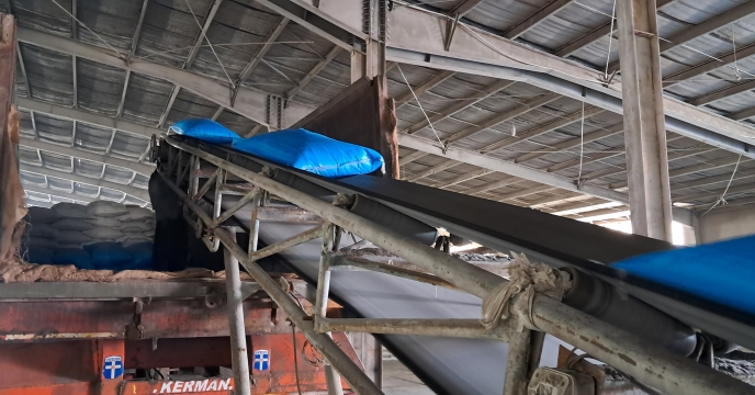 صدور و تحویل ۵۲۸ حواله الکترونیکی کود یارانه‌ای برای کشت گندم و جو در استان کرمان