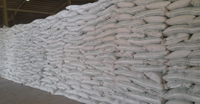 توزیع ۱۹۰ تن کود کشاورزی برای کلزاکاران همدانی در مهر ماه 1404 توزیع ۱۹۰ تن کود کشاورزی برای کلزاکاران همدانی در مهر ماه 1404