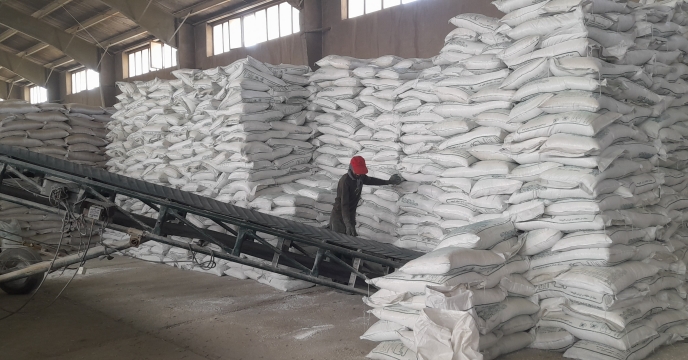 شرکت خدمات حمایتی کشاورزی استان همدان، ۳۱۰۰ تن کود کشاورزی در شهرستان درگزین با تمرکز بر شفافیت و تأمین به‌موقع نهاده‌ها توزیع کرد