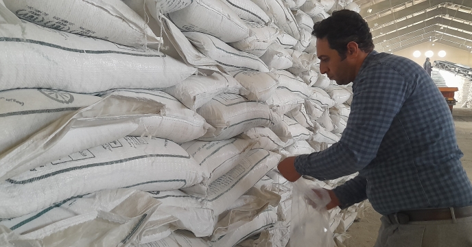 نمونه‌برداری مستمر از کودهای کشاورزی در همدان با هدف کنترل کیفی و تایید اصالت کود قبل از توزیع