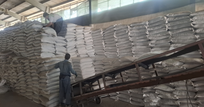 حمایت از کشت پاییزه با توزیع مستمر کودهای یارانه ای در منطقه  جنوب کرمان