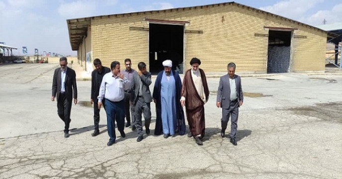 تصاویر