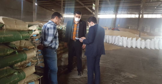بازدید مدیر فنی و بهبود کیفیت بذر ونهال از انبار بذر گندم  استان گلستان و برگزاری جلسه با گارگزاران بذر برای خرید سویای مرغوب در استان 