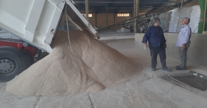 تخلیه خاک فسفات سوریه در انبارهای شرکت خدمات حمایتی کشاورزی استان یزد