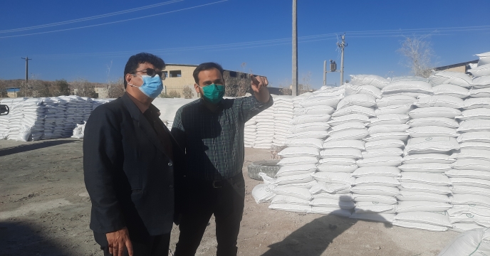 بازدید مدیر شرکت خدمات حمایتی کشاورزی استان یزد از شرکت فرآیند کود و سم بافق