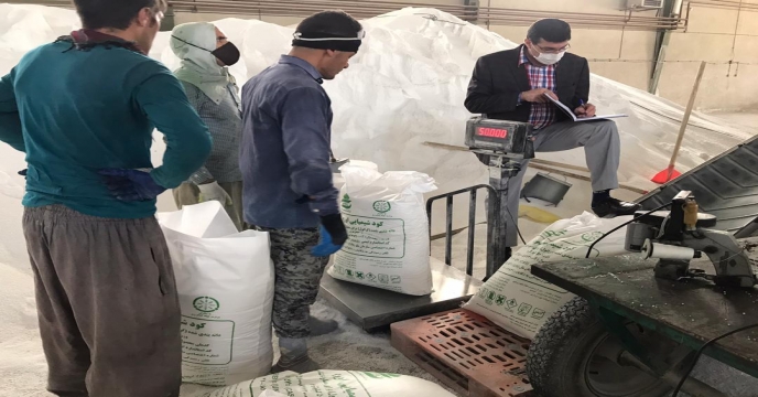 کنترل وزن کیسه های کود اوره کیسه گیری شده در انبار توسط کارشناسان کود استان 