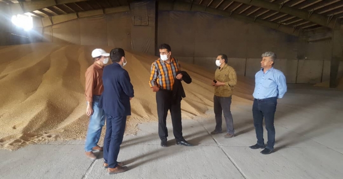 بازدید مدیر فنی و بهبود کیفیت بذر ونهال از انبار بذر گندم  استان گلستان و برگزاری جلسه با گارگزاران بذر برای خرید سویای مرغوب در استان 