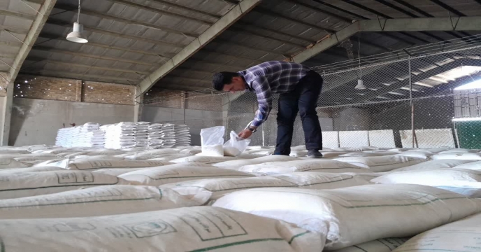 بازدید مهندس سلیمی مشاور محترم مدیر عامل از ستاد جهت بازدید از انبارهای استان مرکزی و عملیات نمونه برداری از کودهای تولید داخلی – مهر ماه 1404