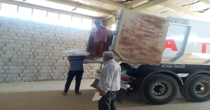 کشاورزان استان بوشهر نگران تامین کود شیمیایی مورد نياز نباشند.