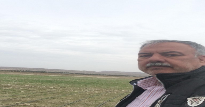 بازدید از مزارع گندم شهرستان دشتستان