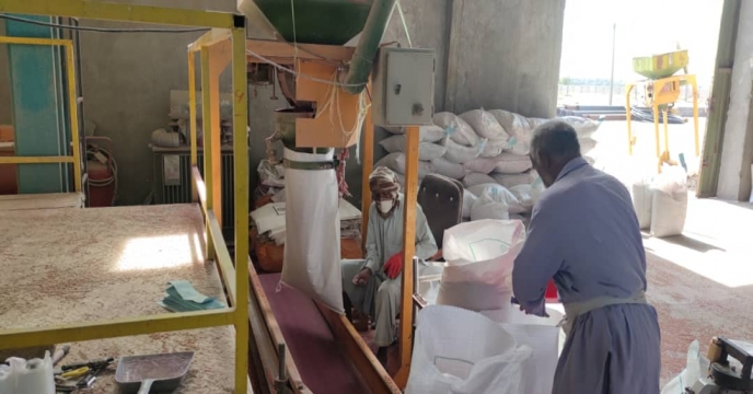 بازدید مدیر فنی و بهبود کیفیت بذر ونهال از کارخانه بوجاری  استان سیستان و بلوچستان 