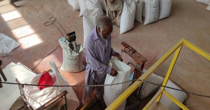 بازدید مدیر فنی و بهبود کیفیت بذر ونهال از کارخانه بوجاری  استان سیستان و بلوچستان 